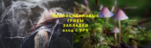 СК Куйбышев