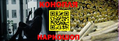 крисы Жуковский