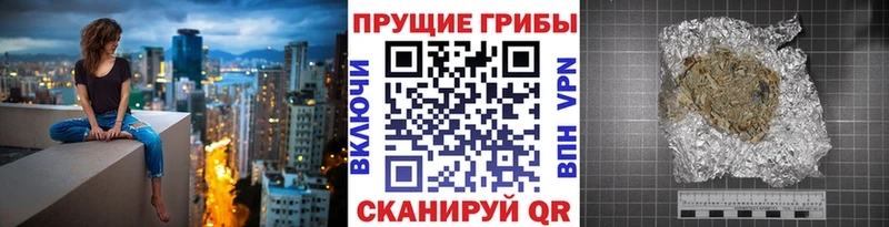 Галлюциногенные грибы Psilocybine cubensis  Якутск 