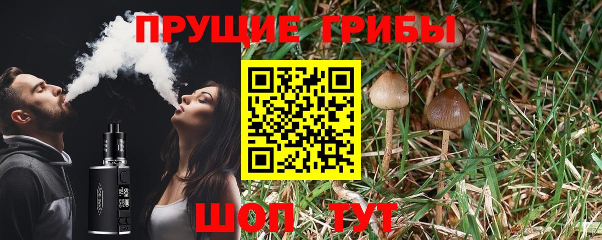 Псилоцибиновые грибы Magic Shrooms Якутск